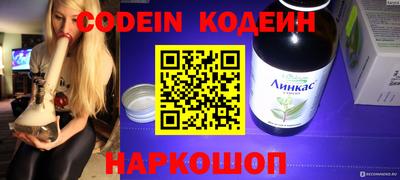 скорость Шелехов