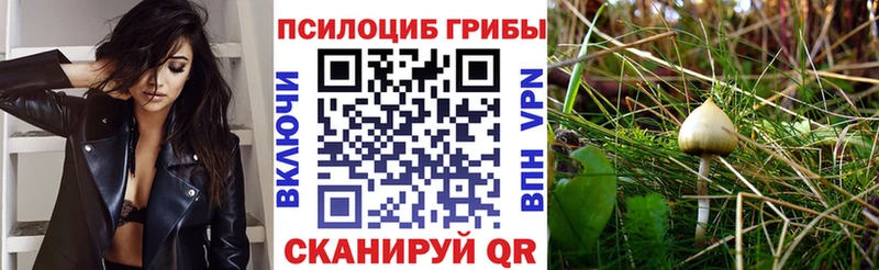 Псилоцибиновые грибы мухоморы  blacksprut ССЫЛКА  Рыбинск 