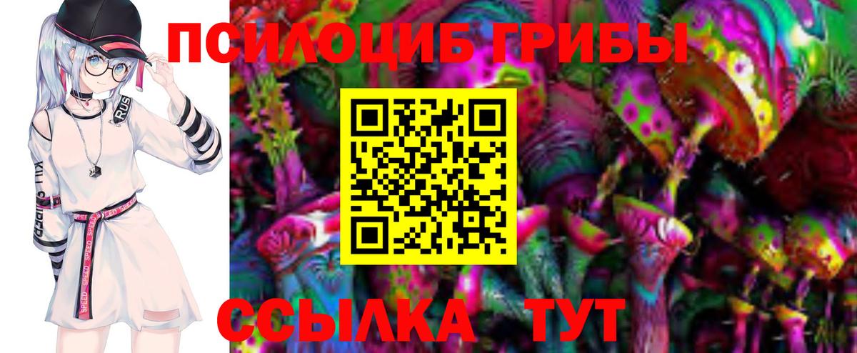 Рыбинск  Псилоцибиновые грибы Psilocybe  Вход с VPN 